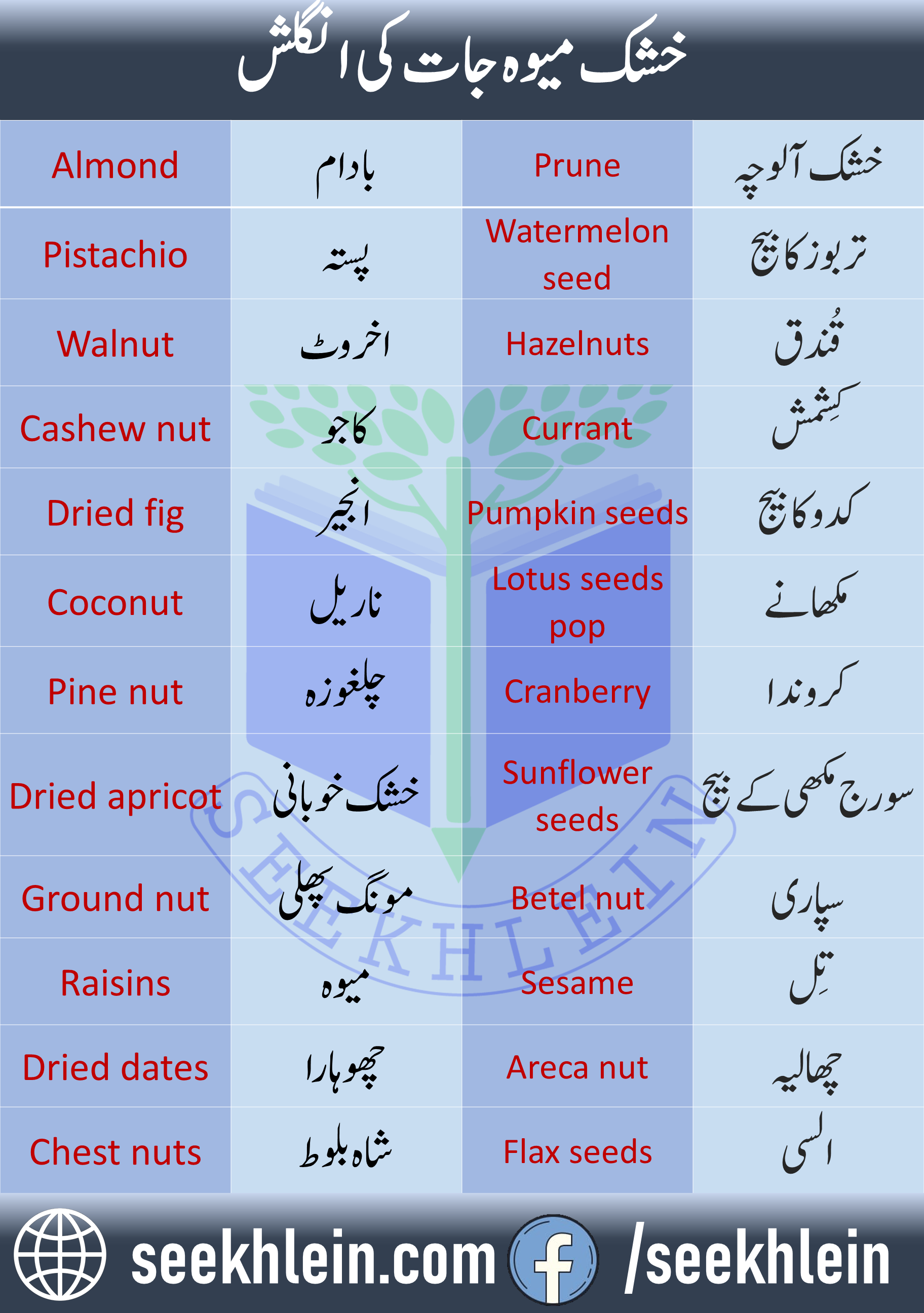 Dry Fruits Names In English