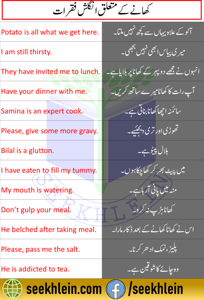 Urdu to English Sentences about Food PDF Download