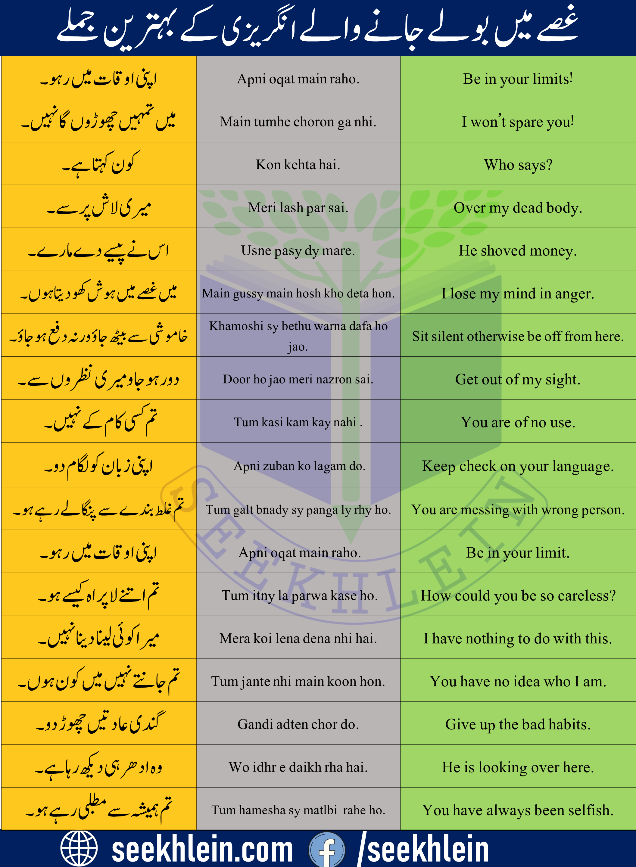 Get Urdu to English angry sentences