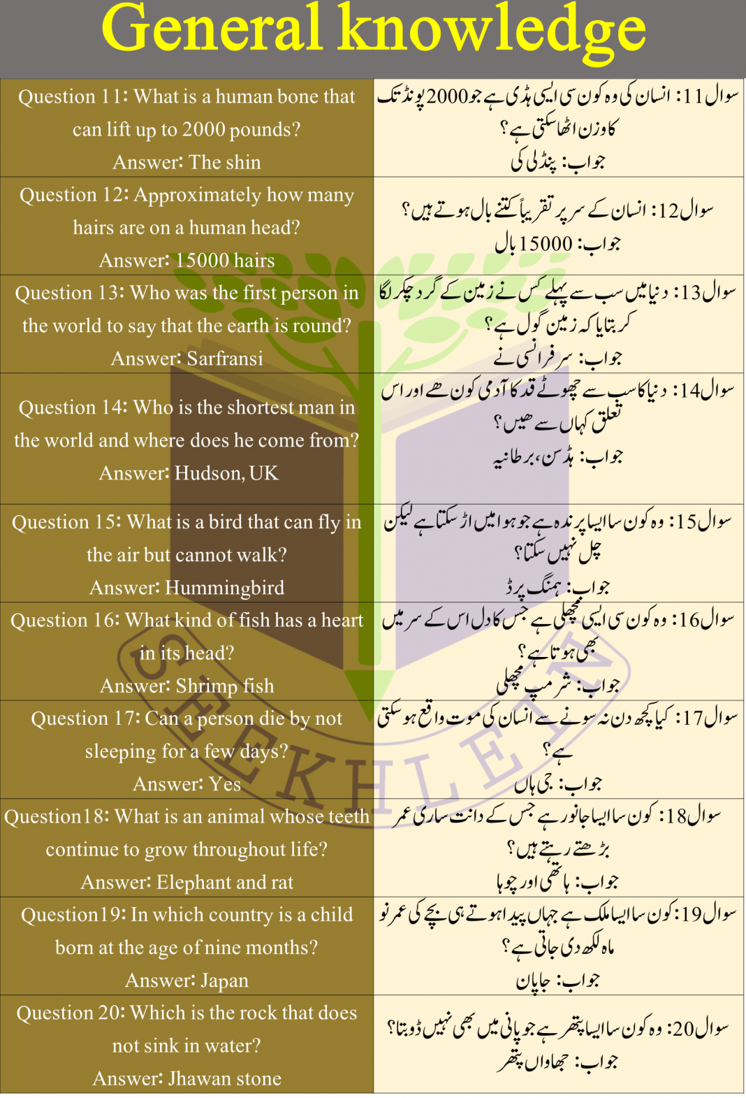 general-knowledge-questions-in-urdu-with-answers-seekhlein