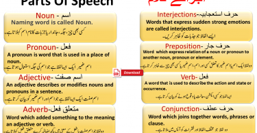 General Knowledge Questions in Urdu with answers - Seekhlein