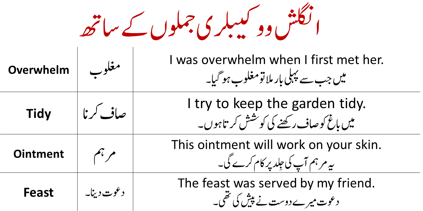 100-english-urdu-to-vocabulary-words-with-sentences-seekhlein