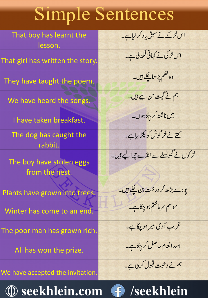 present-perfect-tense-with-urdu-to-english-examples-seekhlein