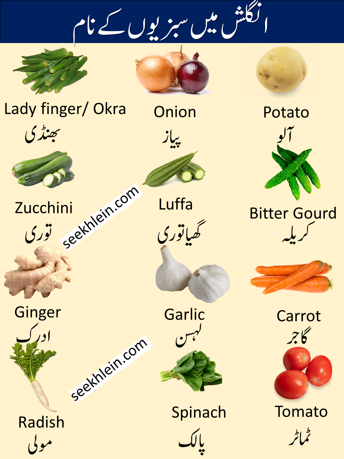 41-vegetable-names-in-urdu-and-english-with-pictures-seekhlein