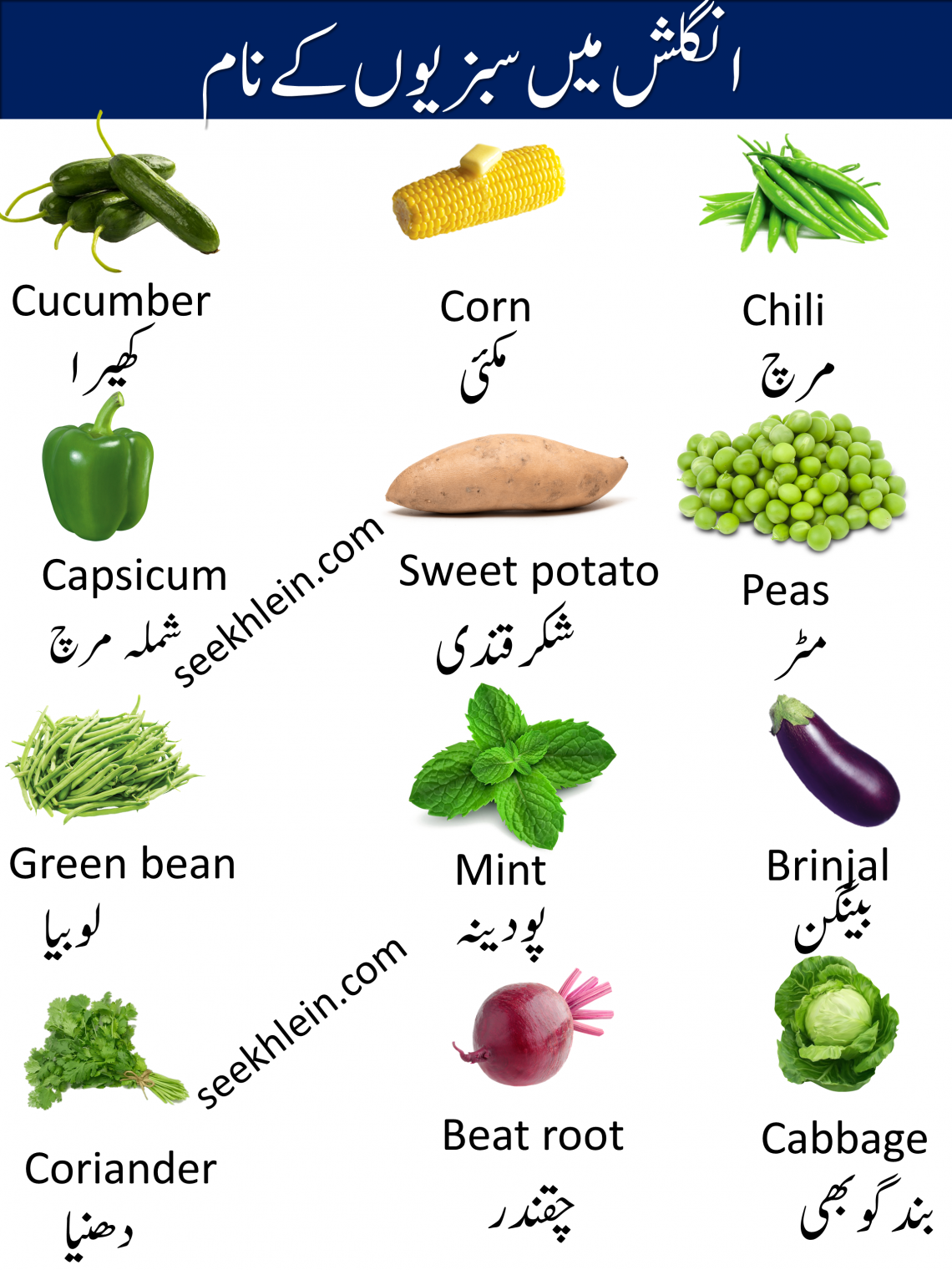 vegetable essay in urdu