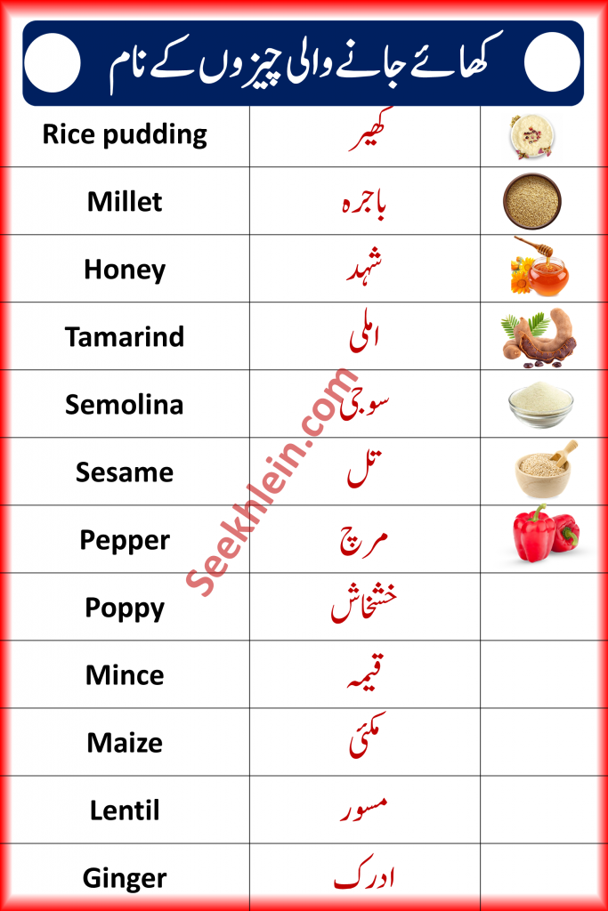Food Vocabulary Words