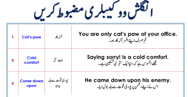 Idioms In Urdu And Hindi
