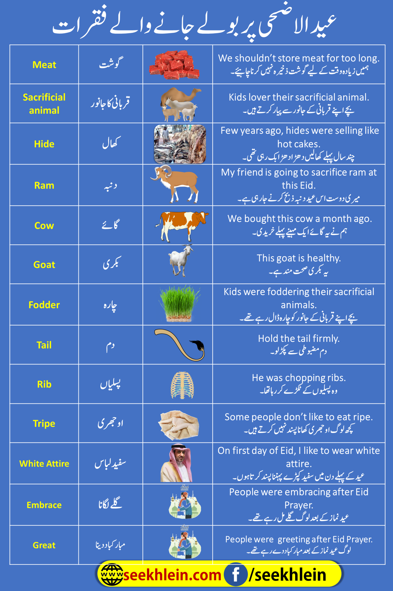 Eid Ul Adha Vocab And Sentences
