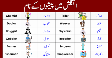 Occupation And Names In English To Urdu Chemist, Doctor