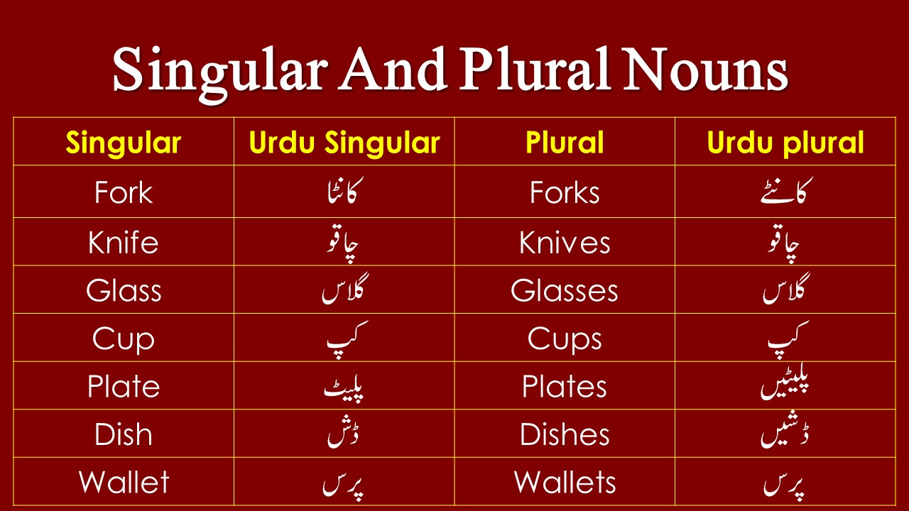 100 Singular Plural Nouns List Examples in Urdu or Hindi