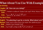 for speech meaning in urdu