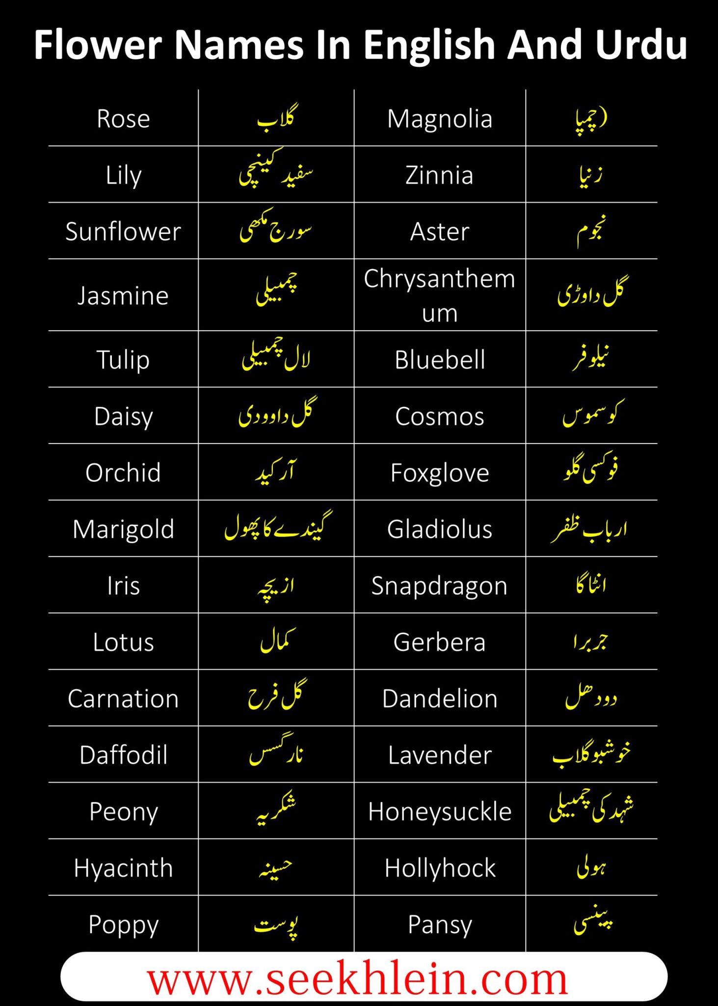 Follower Names In English And Urdu