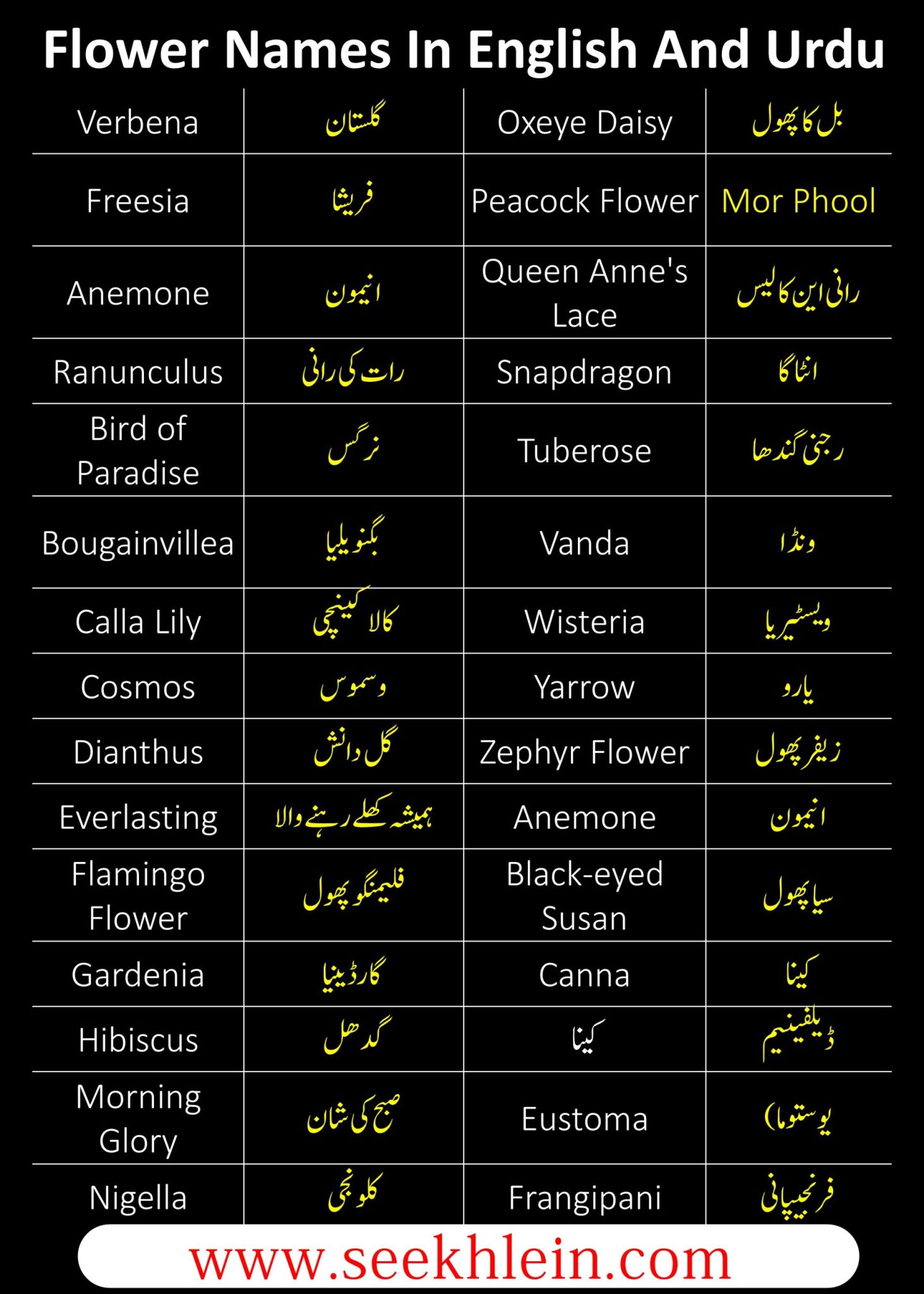 Names Of Followers In English Urdu