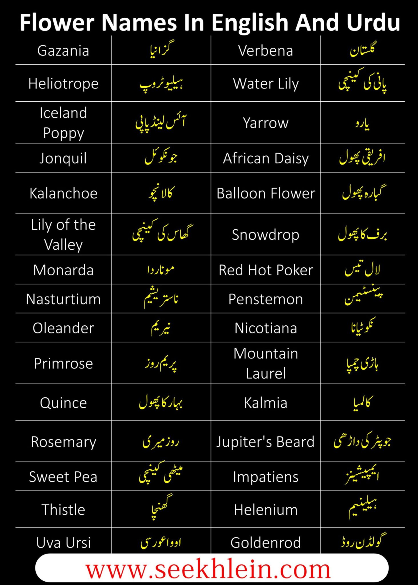 Names Of Followers In English Urdu