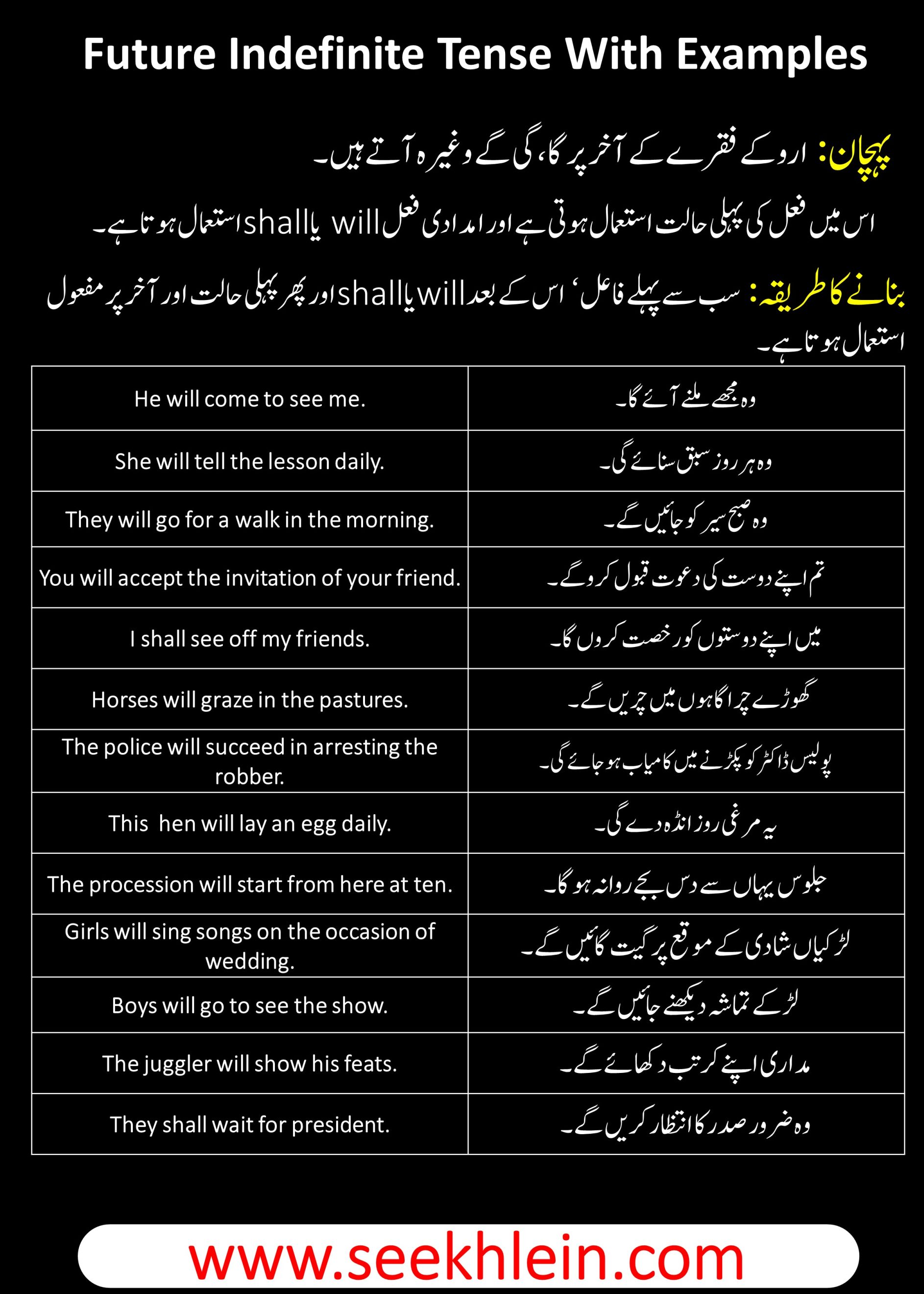 Future Indefinite Tense With Simple Sentences Examples