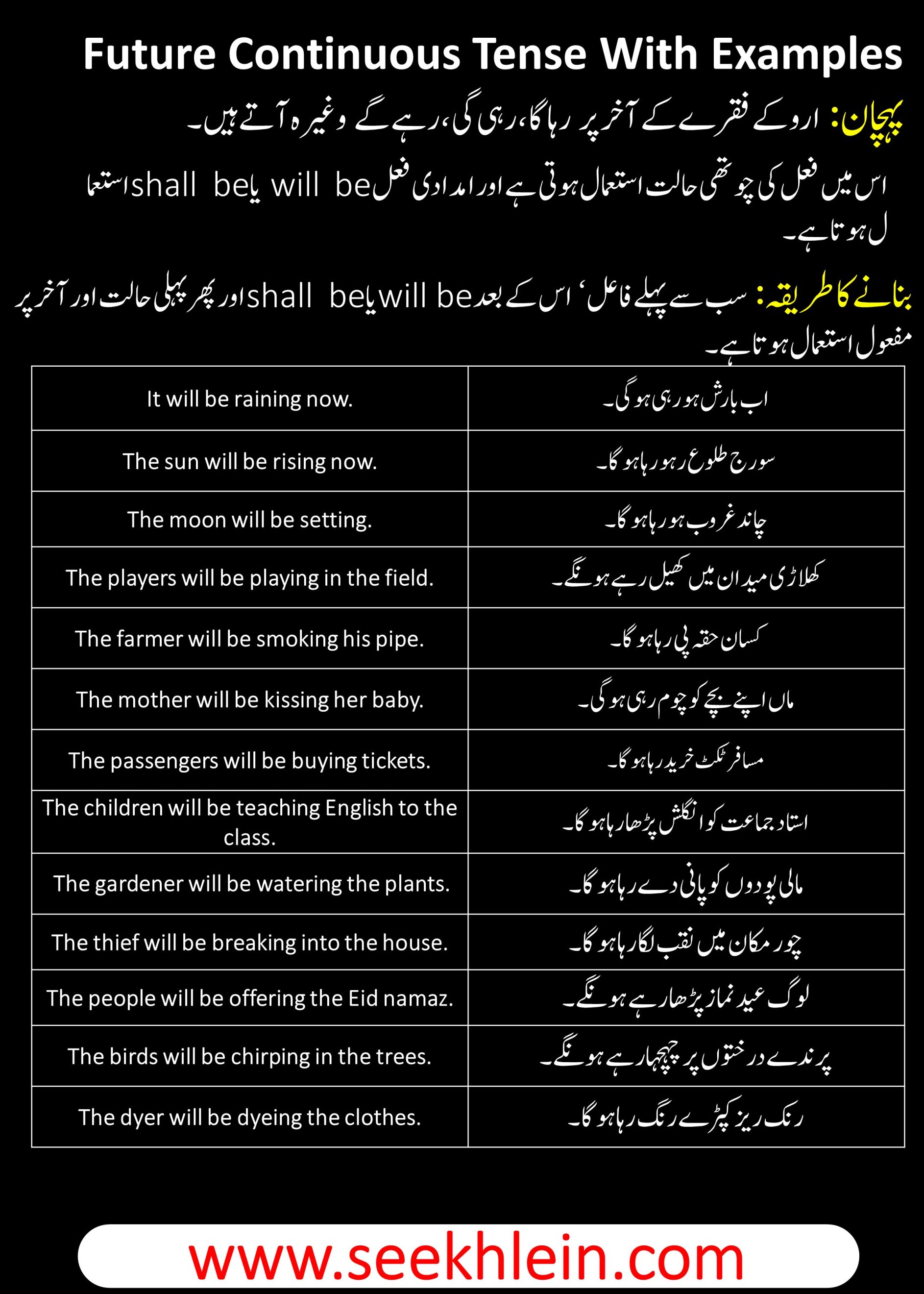 Future Continuous Tense With Simple Sentences Examples