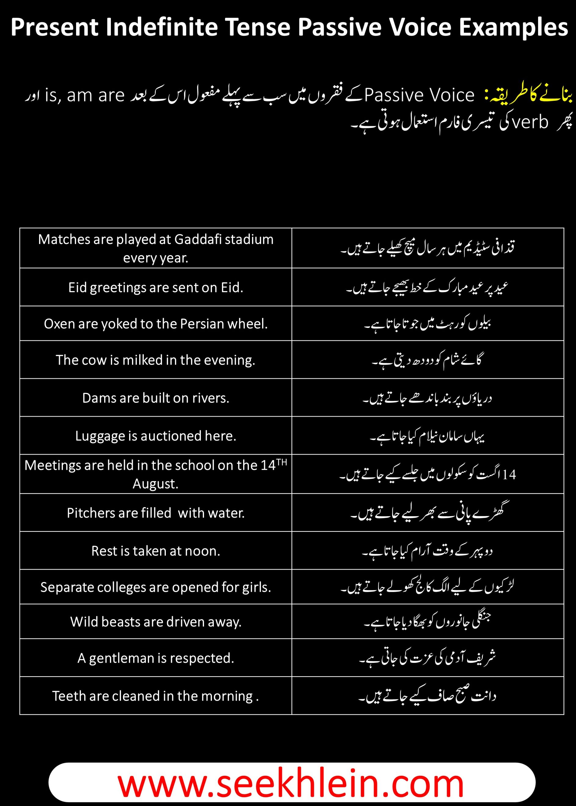 Present Indefinite Passive Voice Tense With Simple Sentences Examples