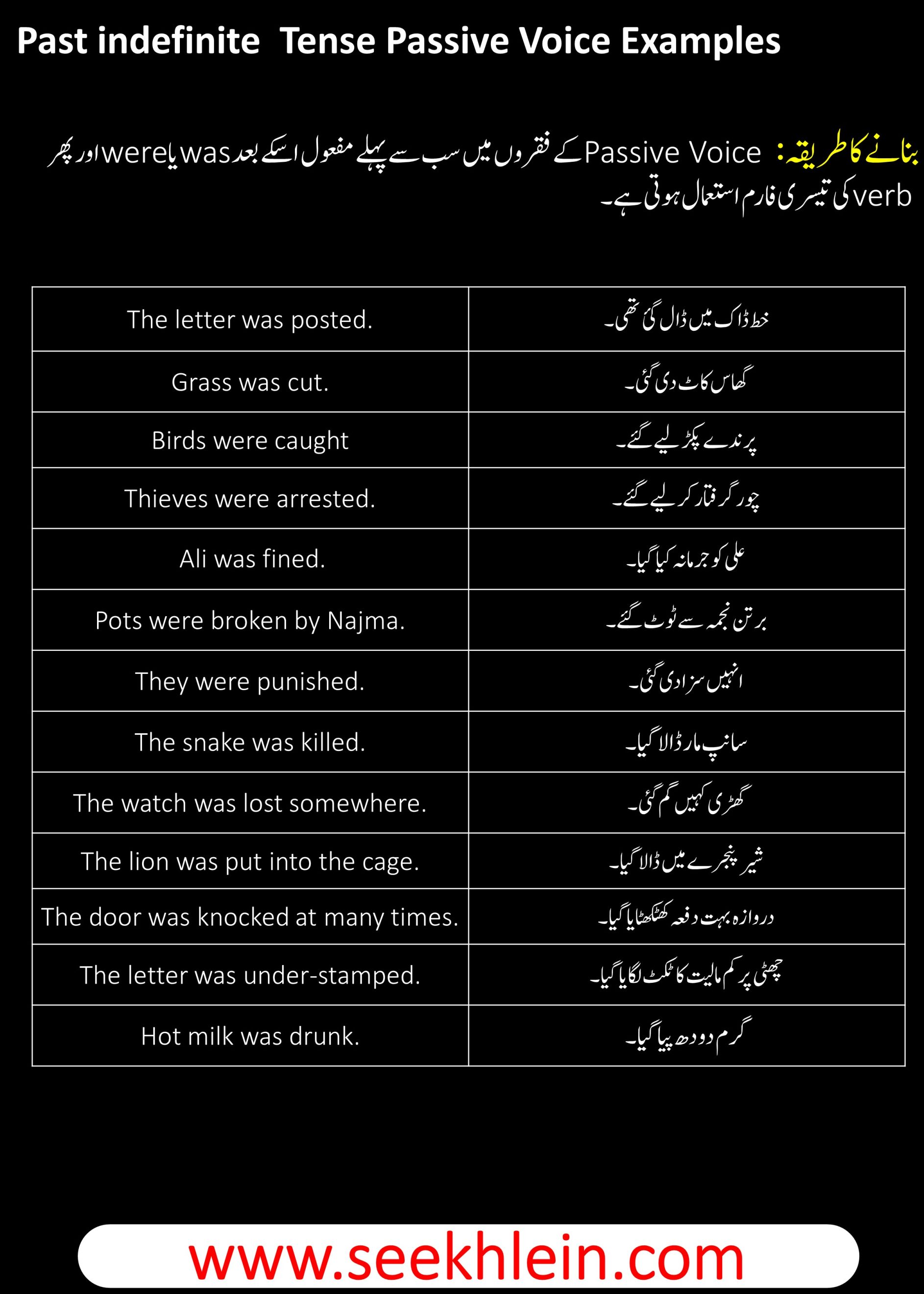 Past Indefinite Passive Voice Tense With Simple Sentences Examples